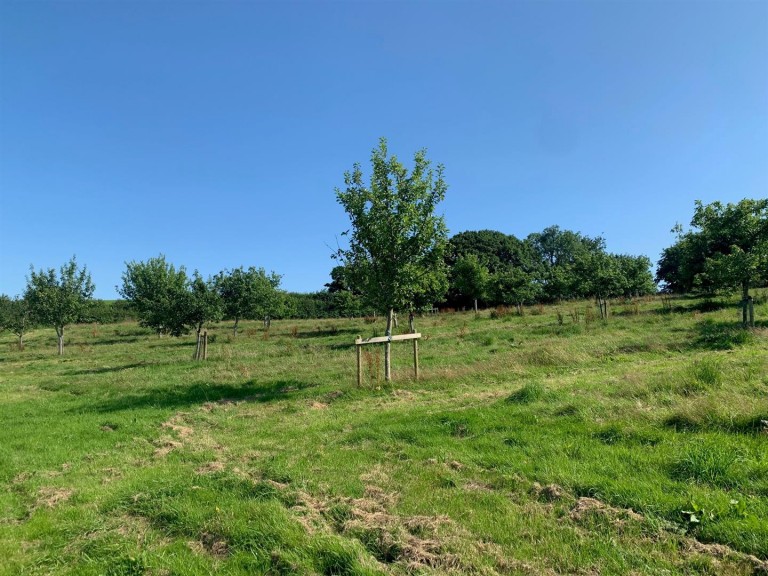 Images for Harbourneford, South Brent