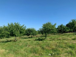 Images for Harbourneford, South Brent