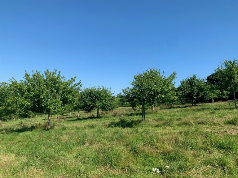 Images for Harbourneford, South Brent