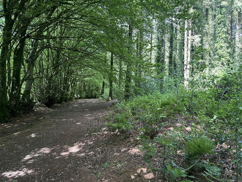 Click the photo for more details of Hembury Hill, Broadhembury, Honiton