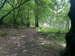 Images for Hembury Hill, Broadhembury, Honiton