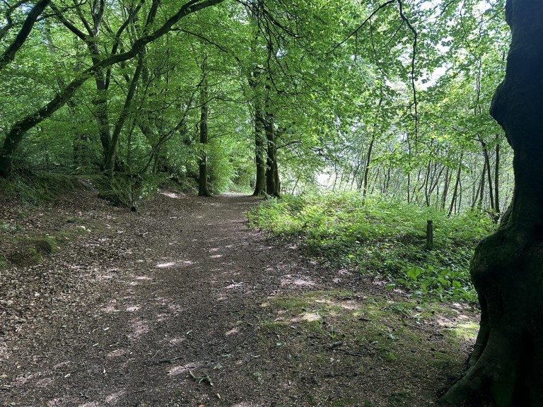 Images for Hembury Hill, Broadhembury, Honiton