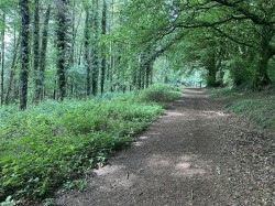 Images for Hembury Hill, Broadhembury, Honiton