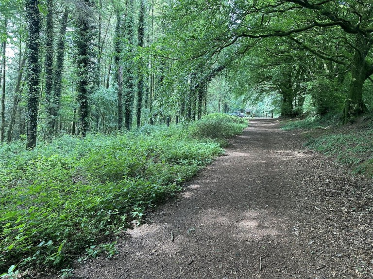 Images for Hembury Hill, Broadhembury, Honiton