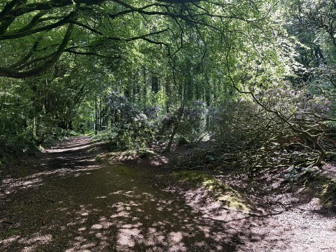 Click the photo for more details of Hembury Hill, Broadhembury, Honiton