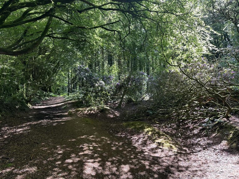 Images for Hembury Hill, Broadhembury, Honiton