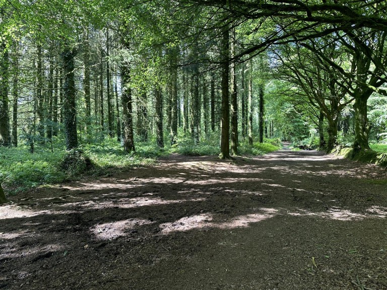 Images for Hembury Hill, Broadhembury, Honiton