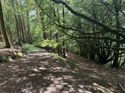 Images for Hembury Hill, Broadhembury, Honiton