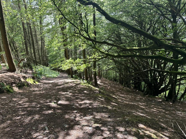 Images for Hembury Hill, Broadhembury, Honiton