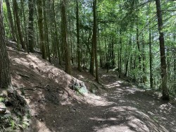 Images for Hembury Hill, Broadhembury, Honiton