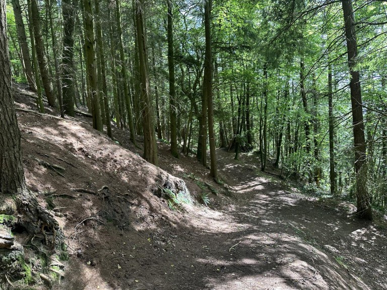Images for Hembury Hill, Broadhembury, Honiton
