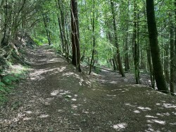 Images for Hembury Hill, Broadhembury, Honiton