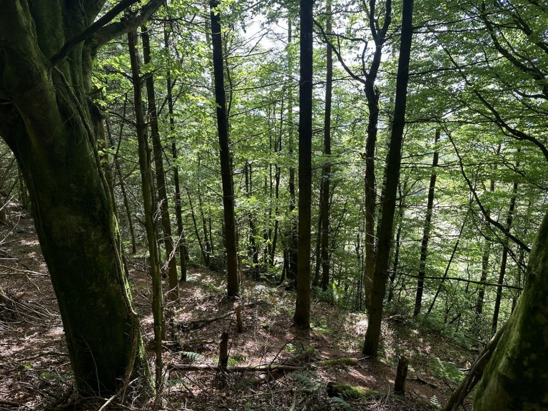 Images for Hembury Hill, Broadhembury, Honiton
