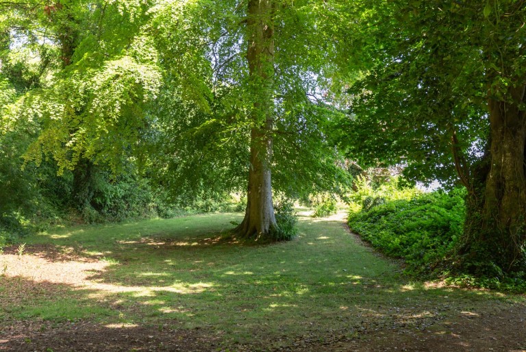 Images for Ventnor, Isle of Wight