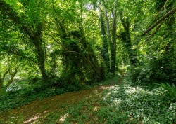 Images for Ventnor, Isle of Wight