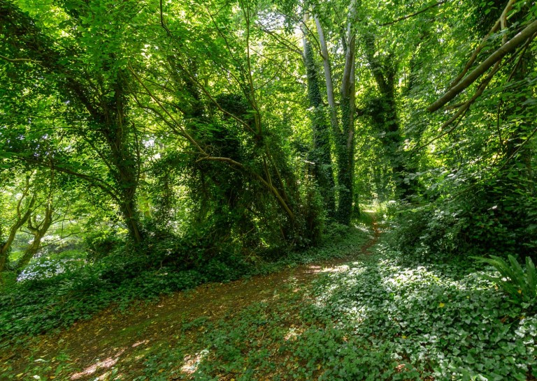 Images for Ventnor, Isle of Wight