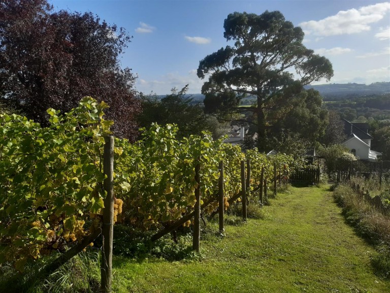 Images for East Street, Bovey Tracey, Newton Abbot