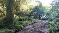 Images for Prideaux Road, St. Blazey, Par