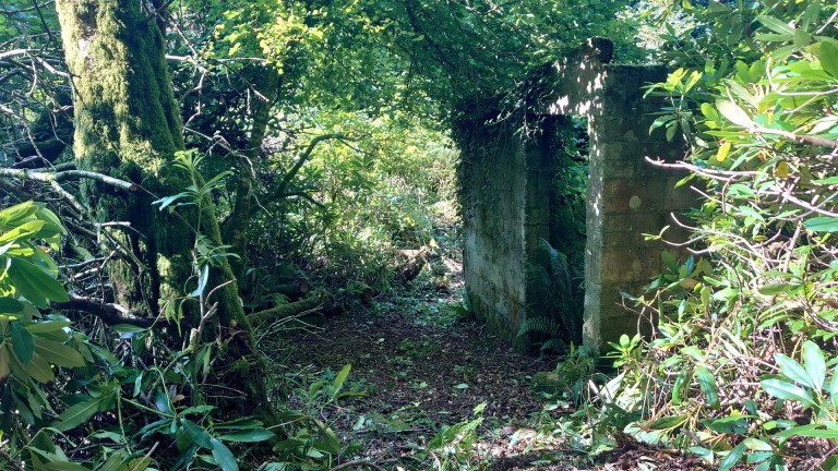 Images for Prideaux Road, St. Blazey, Par