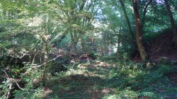 Images for Prideaux Road, St. Blazey, Par