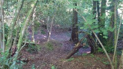 Images for Prideaux Road, St. Blazey, Par