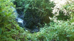 Images for Prideaux Road, St. Blazey, Par