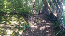 Images for Prideaux Road, St. Blazey, Par
