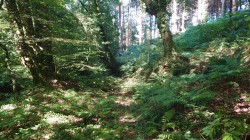 Images for Prideaux Road, St. Blazey, Par