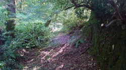 Images for Prideaux Road, St. Blazey, Par