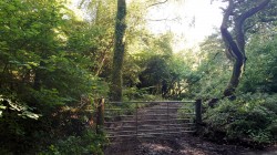 Images for Prideaux Road, St. Blazey, Par