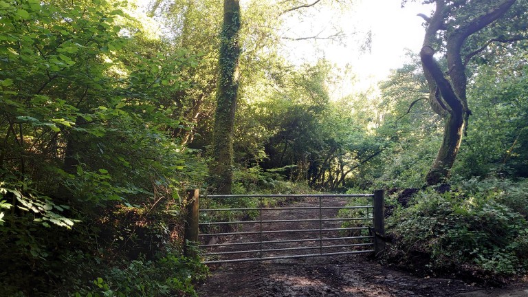 Images for Prideaux Road, St. Blazey, Par