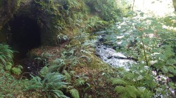 Images for Prideaux Road, St. Blazey, Par