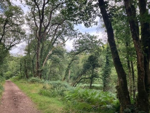 Click the photo for more details of Dulverton