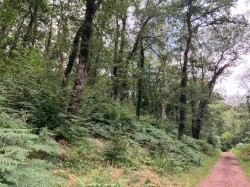 Images for Dulverton