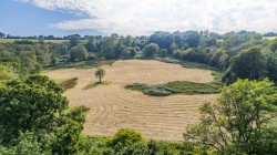Images for Farway, Colyton