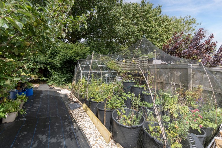 Images for Lower Farthings, Newton Poppleford, Sidmouth