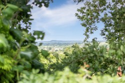 Images for Lower Farthings, Newton Poppleford, Sidmouth