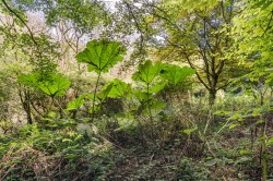 Images for Freshwater Bay, Isle of Wight