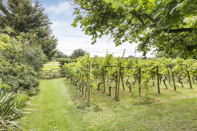 Images for Ollivers Farm, Yeldham Road, Toppesfield, Halstead