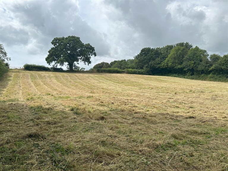 Images for Weycroft, Axminster