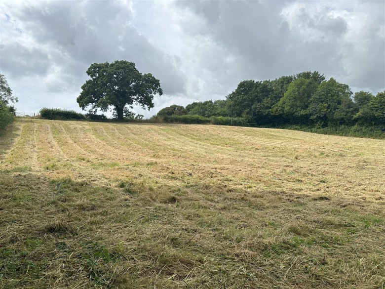 Click the photo for more details of Weycroft, Axminster