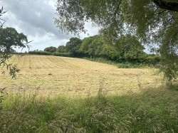 Images for Weycroft, Axminster