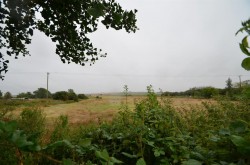 Images for The Row, Sutton