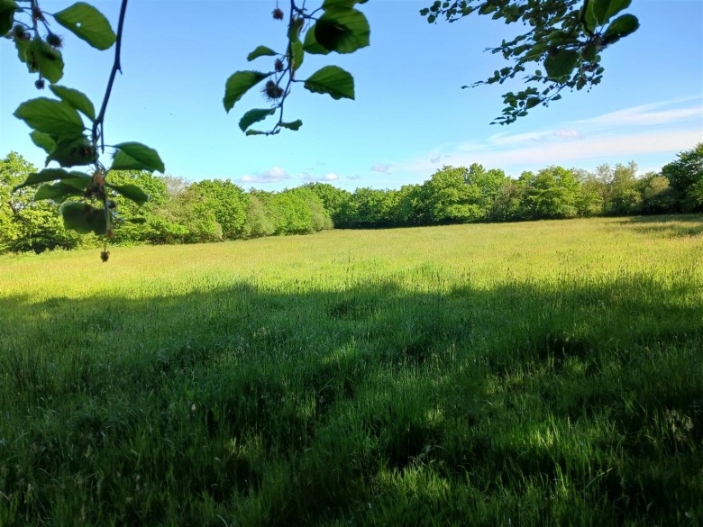 Click the photo for more details of Lewdown