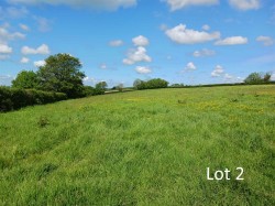 Images for Lewdown