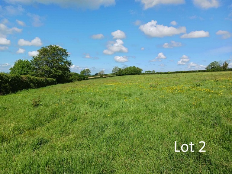 Images for Lewdown