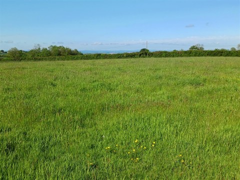 Click the photo for more details of Lewdown