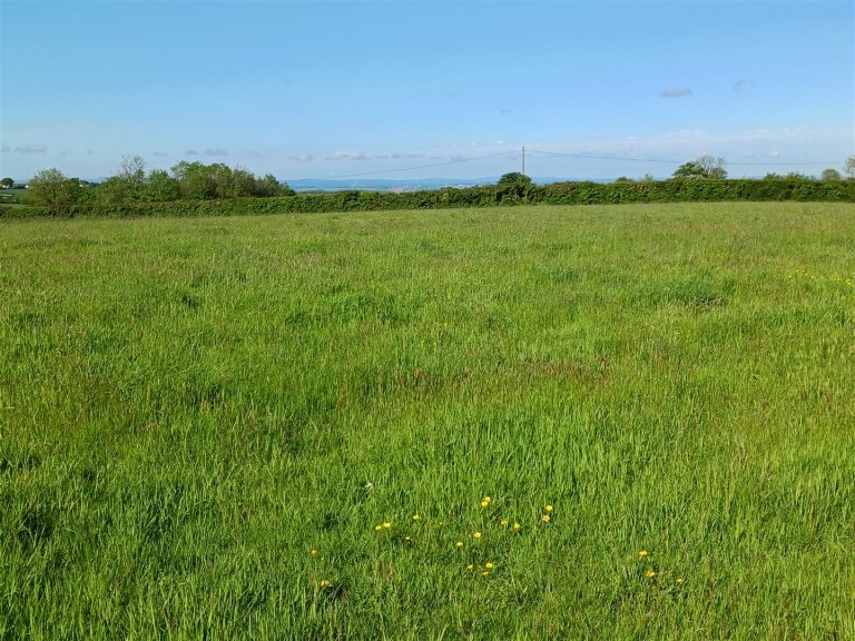 Images for Lewdown