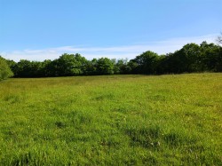 Images for Lewdown
