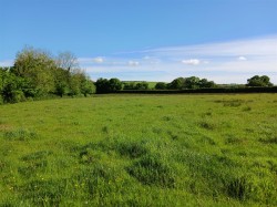 Images for Lewdown